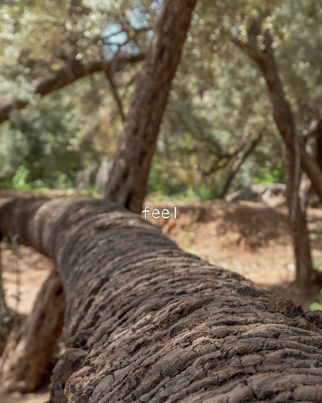 Untitled-5